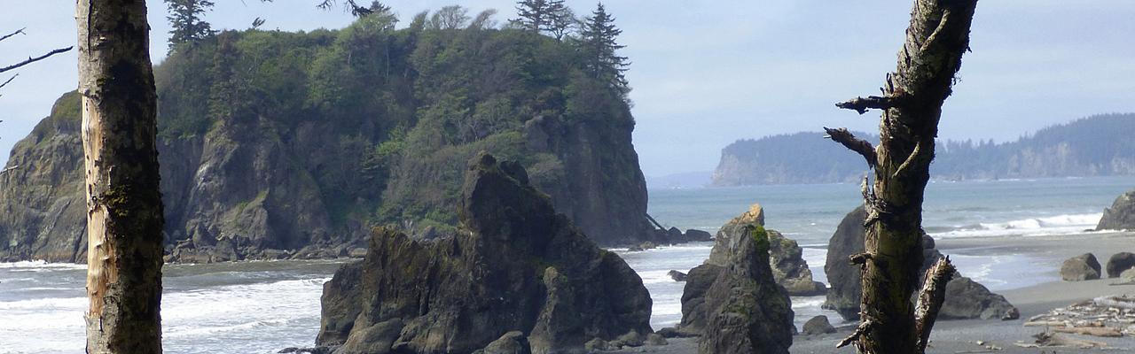 Rialto Beach, Pacific Northwest, Olympic Peninsula, Olympic National Park, Washington, Naturalist Journeys