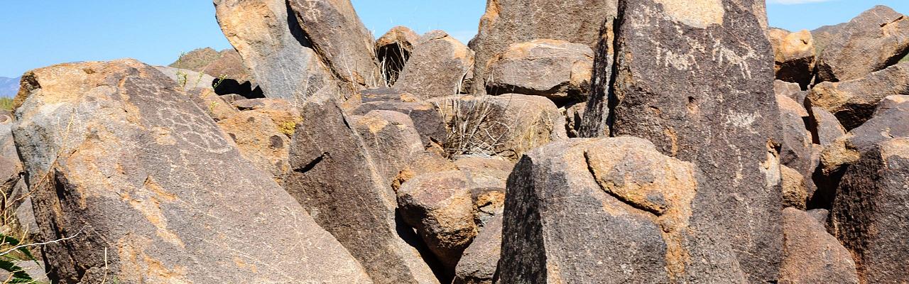 Birding Arizona, Bird Watching Arizona, Naturalist Journeys, Wildlife Tour, Wildlife Photography, Ecotourism, Specialty Birds, Endemic Birds, Birding Hotspot, Sky Islands, Saguaro National Park