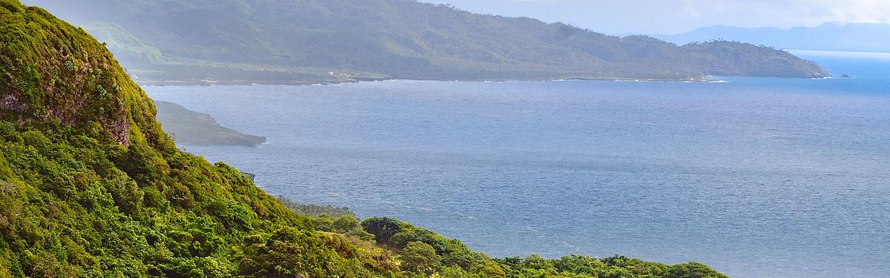 Samana Bay, Birding Jamaica, Birding the Dominican Republic, Bird watching Caribbean, Nature Tour, Naturalist Journeys, Wildlife Tour, Wildlife Photography, Ecotourism, Specialty Birds, Birding Hotspot, Endemic Birds