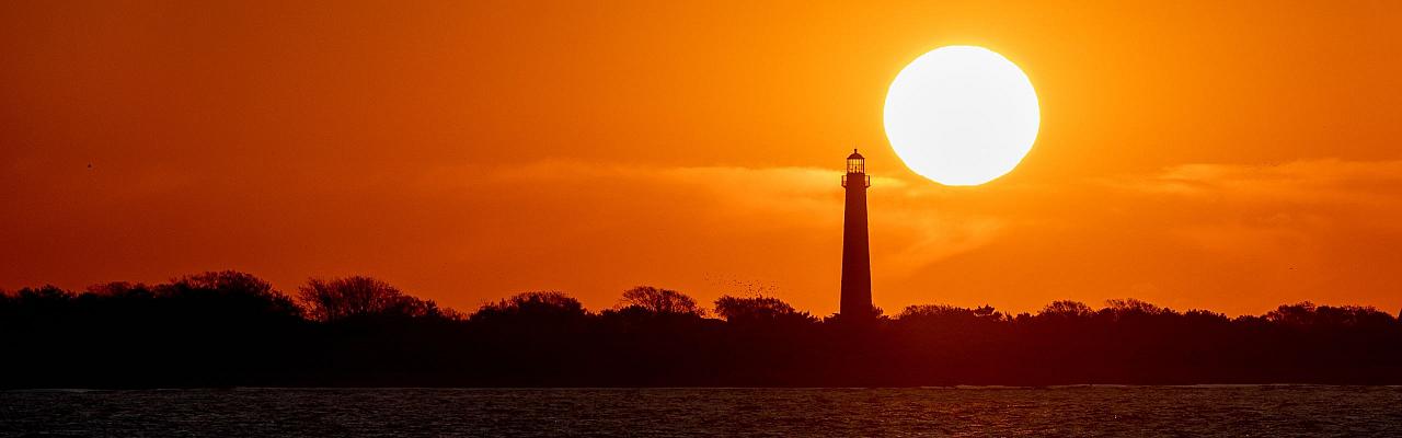 Birding New Jersey, Bird watching Cape May, Cape May New Jersey, Nature Tour, Naturalist Journeys, Wildlife Tour, Wildlife Photography, Ecotourism, Specialty Birds, Birding Hotspot, Endemic Birds