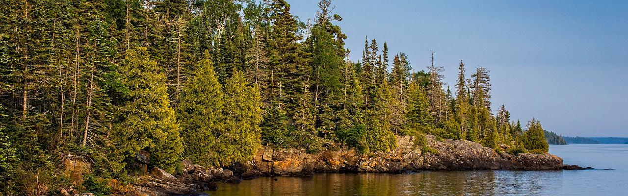 Birding Michigan, Michigan Nature, Isle Royale National Park, Bird watching Michigan, Great Lakes, Naturalist Journeys, Wildlife Tour, Wildlife Photography, Ecotourism, Specialty Birds, Birding Hotspot