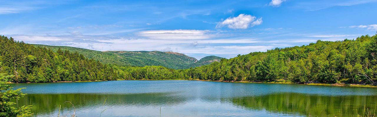 Birding Maine, Maine Nature, Acadia National Park, Bird watching Maine, Fall Migration, Naturalist Journeys, Wildlife Tour, Wildlife Photography, Ecotourism, Specialty Birds, Birding Hotspot, Bar Harbor