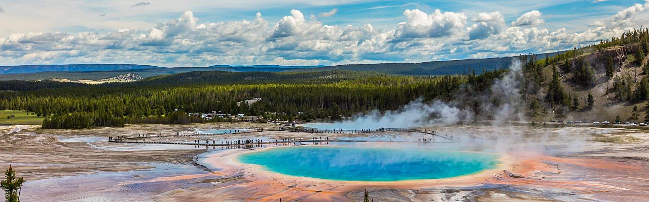 Yellowstone National Park, Birding Yellowstone, Bird Watching, United States, North American Birds, Naturalist Journeys, Wildlife Tour, Wildlife Photography, Ecotourism, Specialty Birds, Endemic Birds, Birding Hotspot