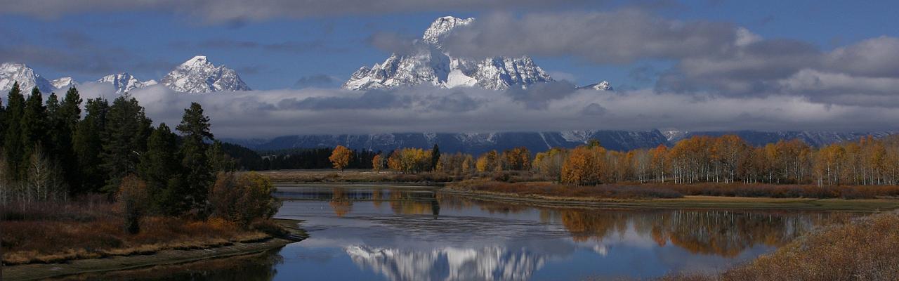 Yellowstone National Park, Nature Tour, Wildlife Tour, National Park, Naturalist Journeys