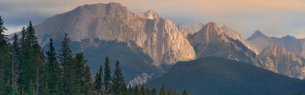 Birding Canada, Bird Watching Canada, Birding North America, Naturalist Journeys, Wildlife Tour, Wildlife Photography, Ecotourism, Specialty Birds, Endemic Birds, Birding Hotspot, Banff National Park