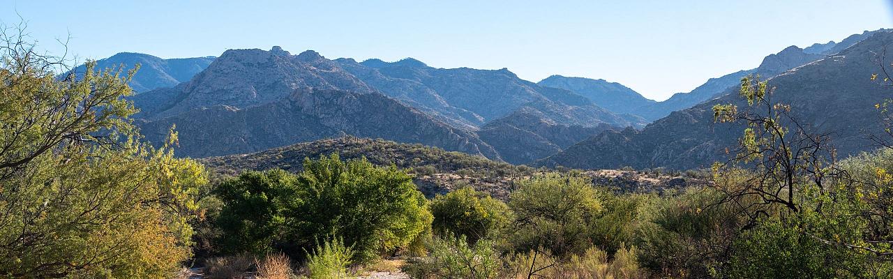 Birding Arizona