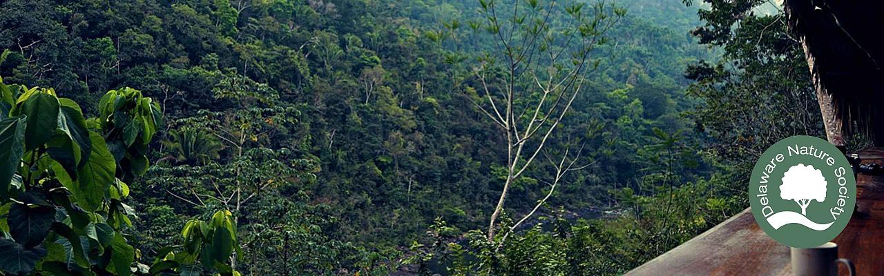 Black Rock Lodge, Belize Nature Tours, Naturalist Journeys, Guided Nature Tour	