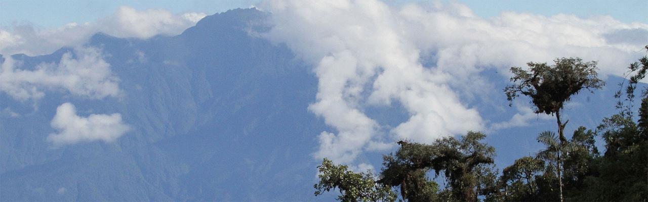 Sierra Nevada de Santa Marta, Colombia Santa Marta, Naturalist Journeys