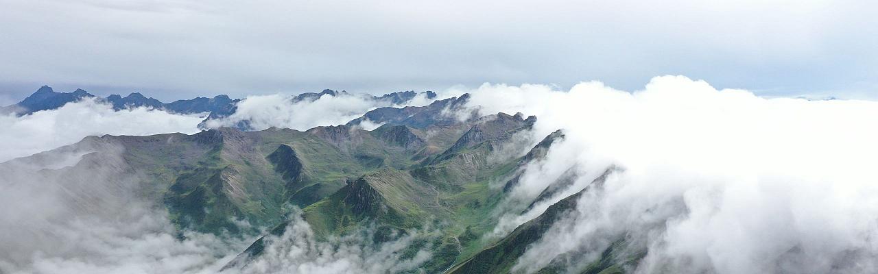 Birding China, Bird Watching China, Asia Birds, Naturalist Journeys, Wildlife Tour, Wildlife Photography, Ecotourism, Specialty Birds, Endemic Birds, Birding Hotspot, Migration, Sichuan Basin