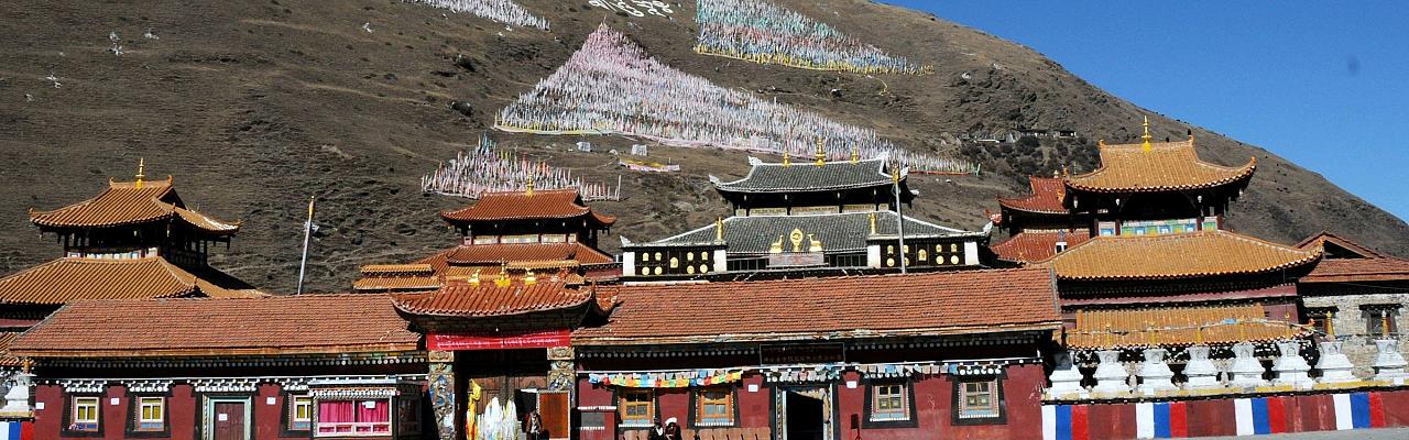 Birding China, Bird Watching China, Asia Birds, Naturalist Journeys, Wildlife Tour, Wildlife Photography, Ecotourism, Specialty Birds, Endemic Birds, Birding Hotspot, Migration, Sichuan Basin
