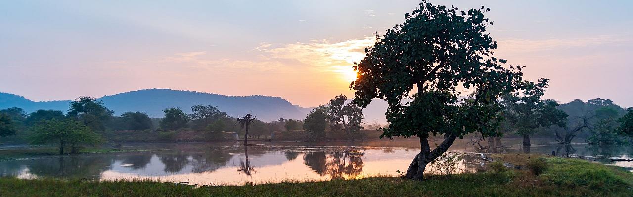 Birding India, Bird watching Asia, India Nature Tour, Big Cats in India, Naturalist Journeys, Wildlife Tour, Wildlife Photography, Ecotourism, Specialty Birds, Birding Hotspot, Tiger Reserve, Snow Leopards