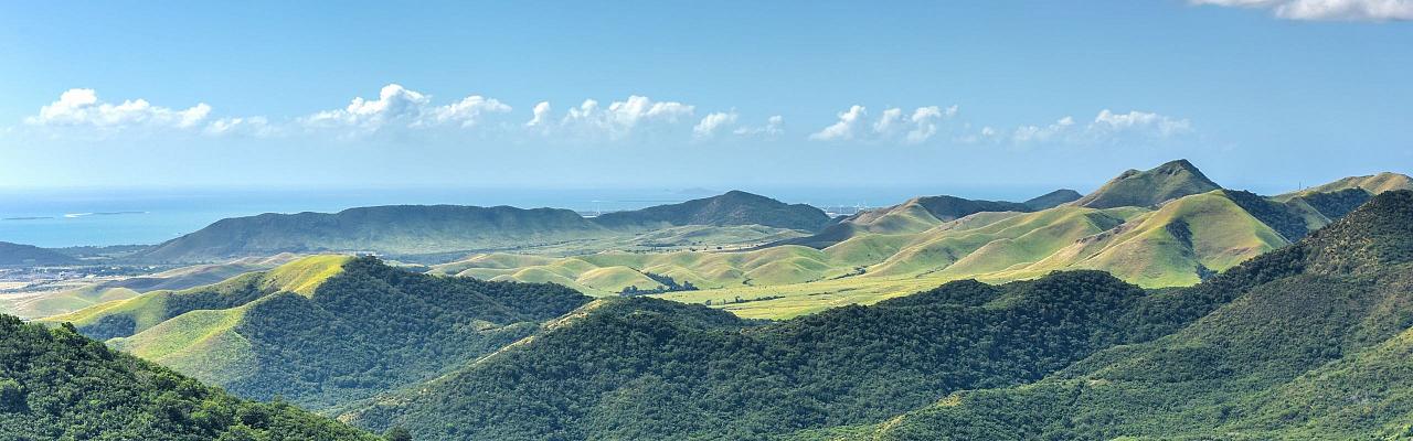 Birding Puerto Rico, Bird Watching North America, Tropical Birds, Naturalist Journeys, Wildlife Tour, Wildlife Photography, Ecotourism, Specialty Birds, endemic birds