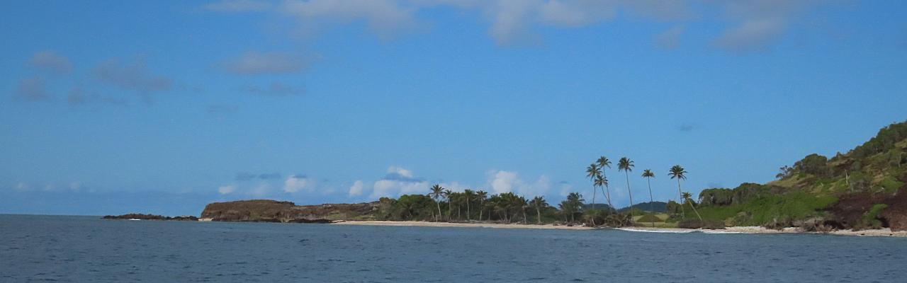 Petit Nevis, St Vincent and Grenadines, St. Vincent Birding Tour, Grenadines Birding Tour, St. Lucia Birding Tour, Dominica Birding Tour, Naturalist Journeys