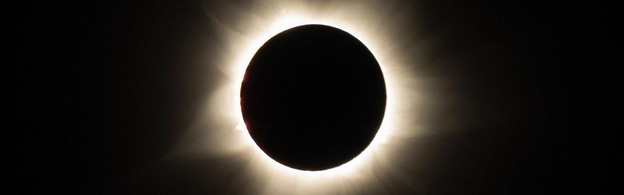 Birding Spain, Bird Watching Spain, European Birds, Naturalist Journeys, Wildlife Tour, Wildlife Photography, Ecotourism, Specialty Birds, Endemic Birds, Birding Hotspot