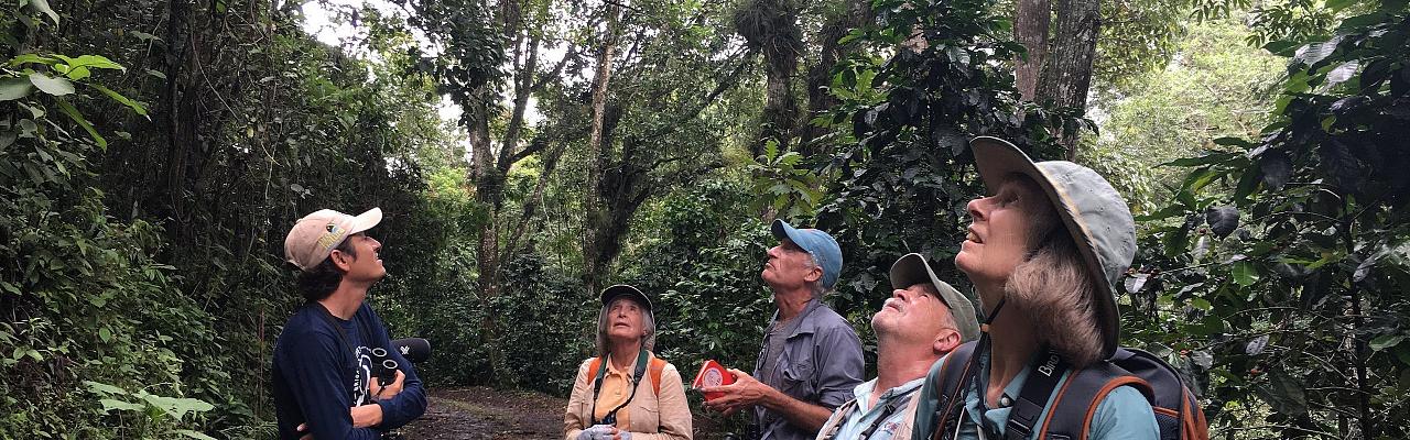 Mexico, Mexico Birding Tour, Mexico Migration Tour, Mexico Nature Tour, Veracruz, Naturalist Journeys