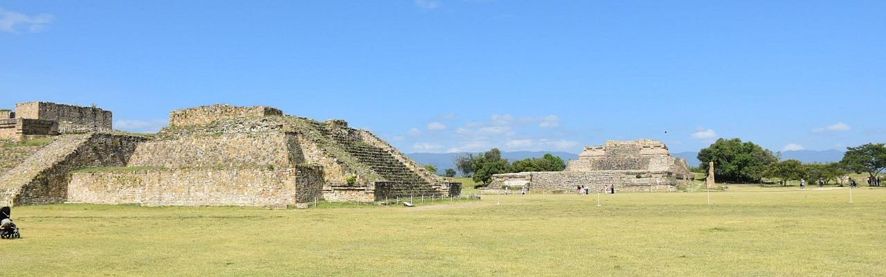 Monte Alban, Birding Mexico, Bird watching Mexico, Oaxaca, Mexico, North American Birds, Naturalist Journeys, Wildlife Tour, Wildlife Photography, Ecotourism, Specialty Birds, Endemic Birds, Birding Hotspot 