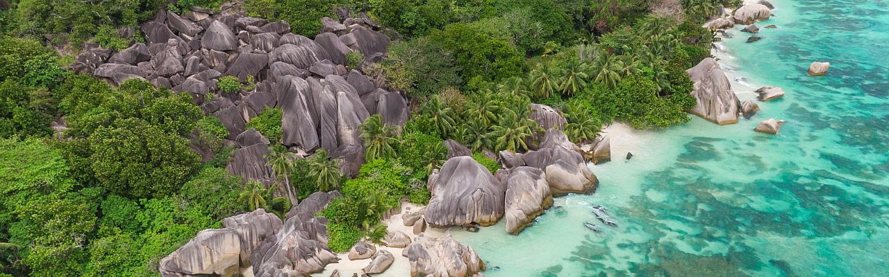 Seychelles Birding Tour, Seychelles Cruise, Seychelles Islands, Naturalist Journeys