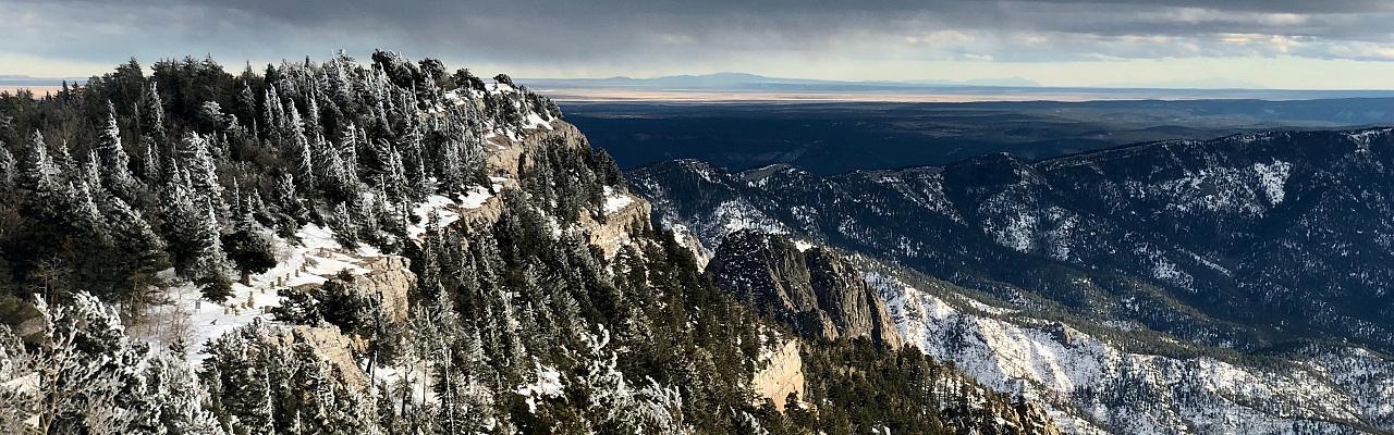 New Mexico Nature tour, New Mexico Wildlife Tour, New Mexico Birding Tour, Naturalist Journeys