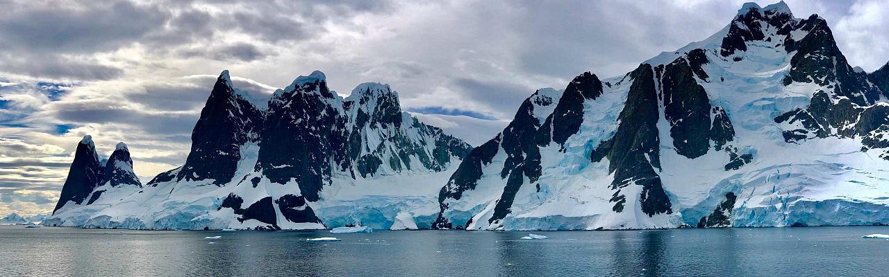 Birding Antarctica, Bird watching Antarctica, Falkland Islands, South Georgia, Naturalist Journeys, Wildlife Tour, Wildlife Photography, Ecotourism, Specialty Birds, Endemic Birds, Birding Hotspot 
