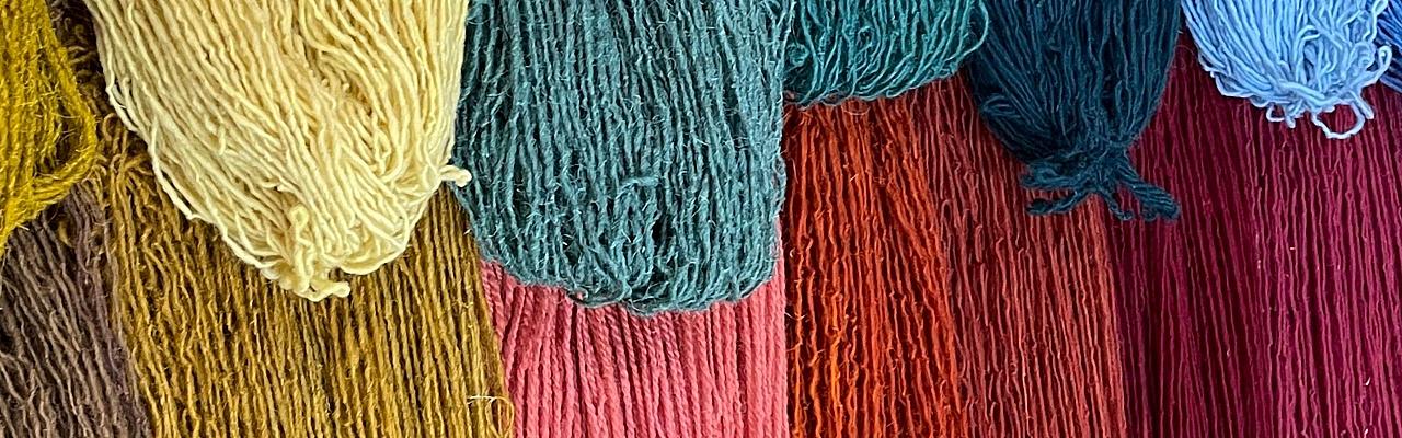 Birding Mexico, Bird watching Mexico, Oaxaca, Mexico, North American Birds, Naturalist Journeys, Wildlife Tour, Wildlife Photography, Ecotourism, Specialty Birds, Endemic Birds, Birding Hotspot