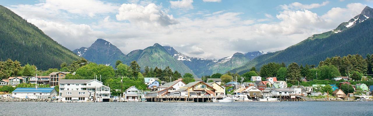 Birding Alaska, Bird Watching Alaska, Birding North America, Naturalist Journeys, Wildlife Tour, Wildlife Photography, Ecotourism, Specialty Birds, Endemic Birds, Birding Hotspot, Whale Watching