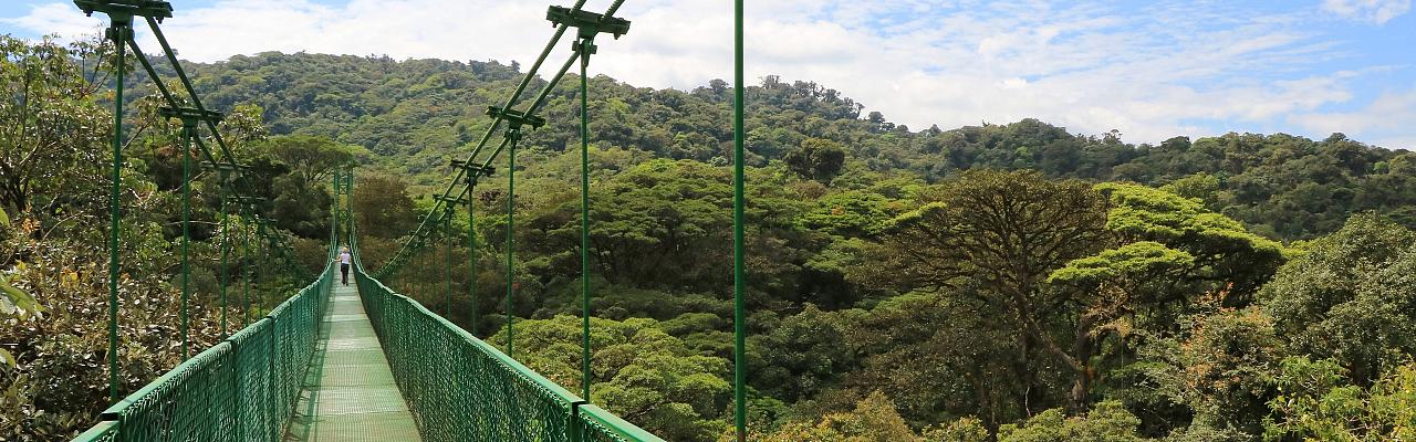 Monteverde, Suspension Bridge, Arenal Observatory, Costa Rica Nature Tour, Naturalist Journeys