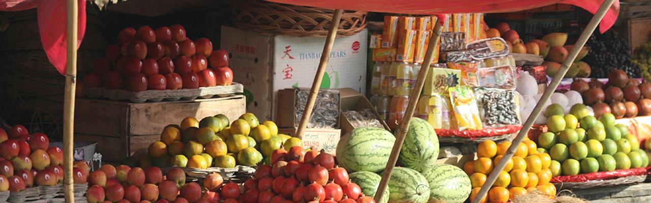 India, India Nature Tour, India Wildlife Tour, India Wildlife Safari, Naturalist Journeys