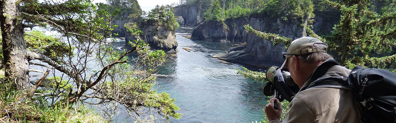 Pacific Northwest, Olympic Peninsula, Olympic National Park, Washington, Naturalist Journeys 