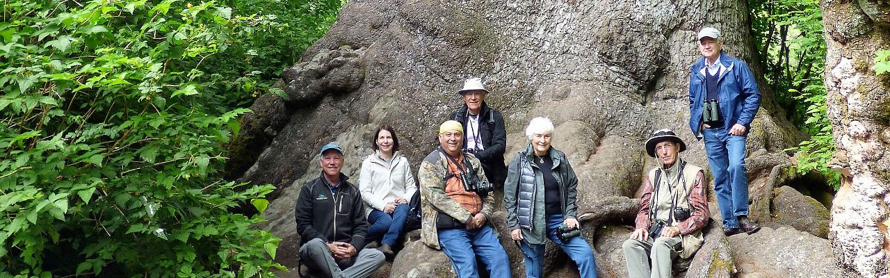 Pacific Northwest, Olympic Peninsula, Olympic National Park, Washington, Naturalist Journeys 