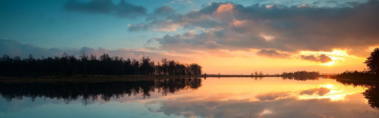 Birding Belgium, Bird Watching the Netherlands, European Birds, Naturalist Journeys, Wildlife Tour, Wildlife Photography, Ecotourism, Specialty Birds