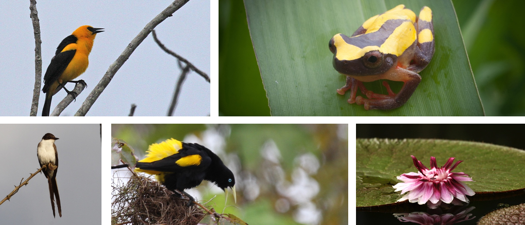 smithsonian amazon river cruise