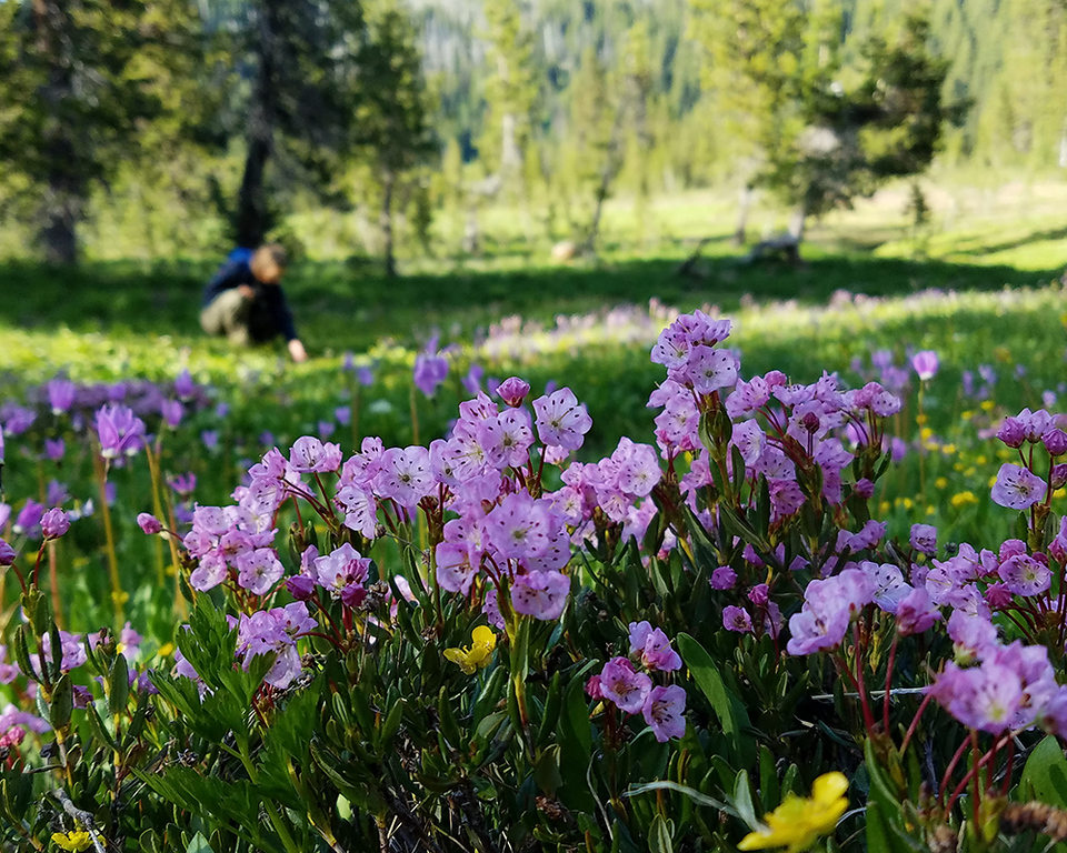 wildlife tours oregon