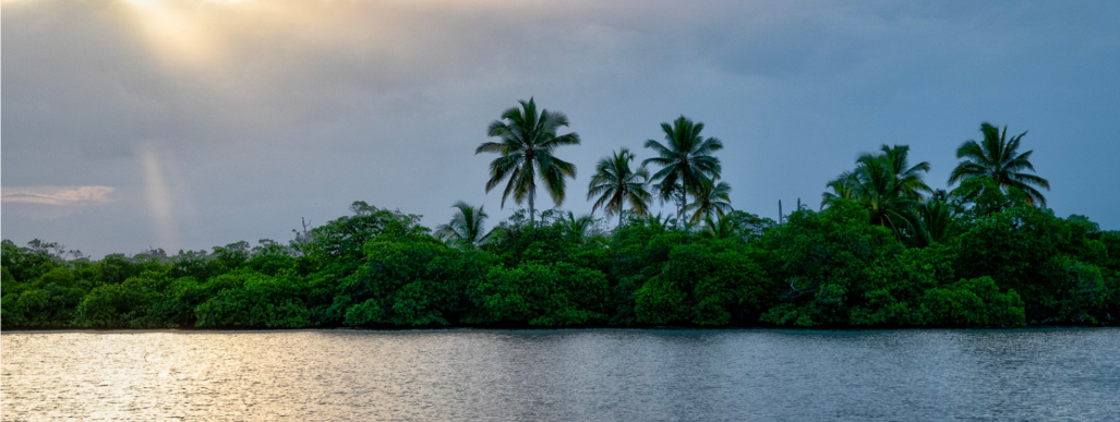 darien tour panama