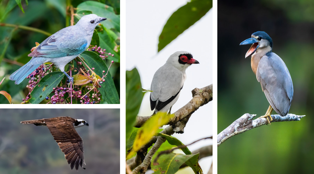 darien tour panama