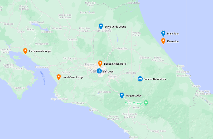 Costa Rica Birding Tours Feb 2023 Guided Wildlife Nature Tours