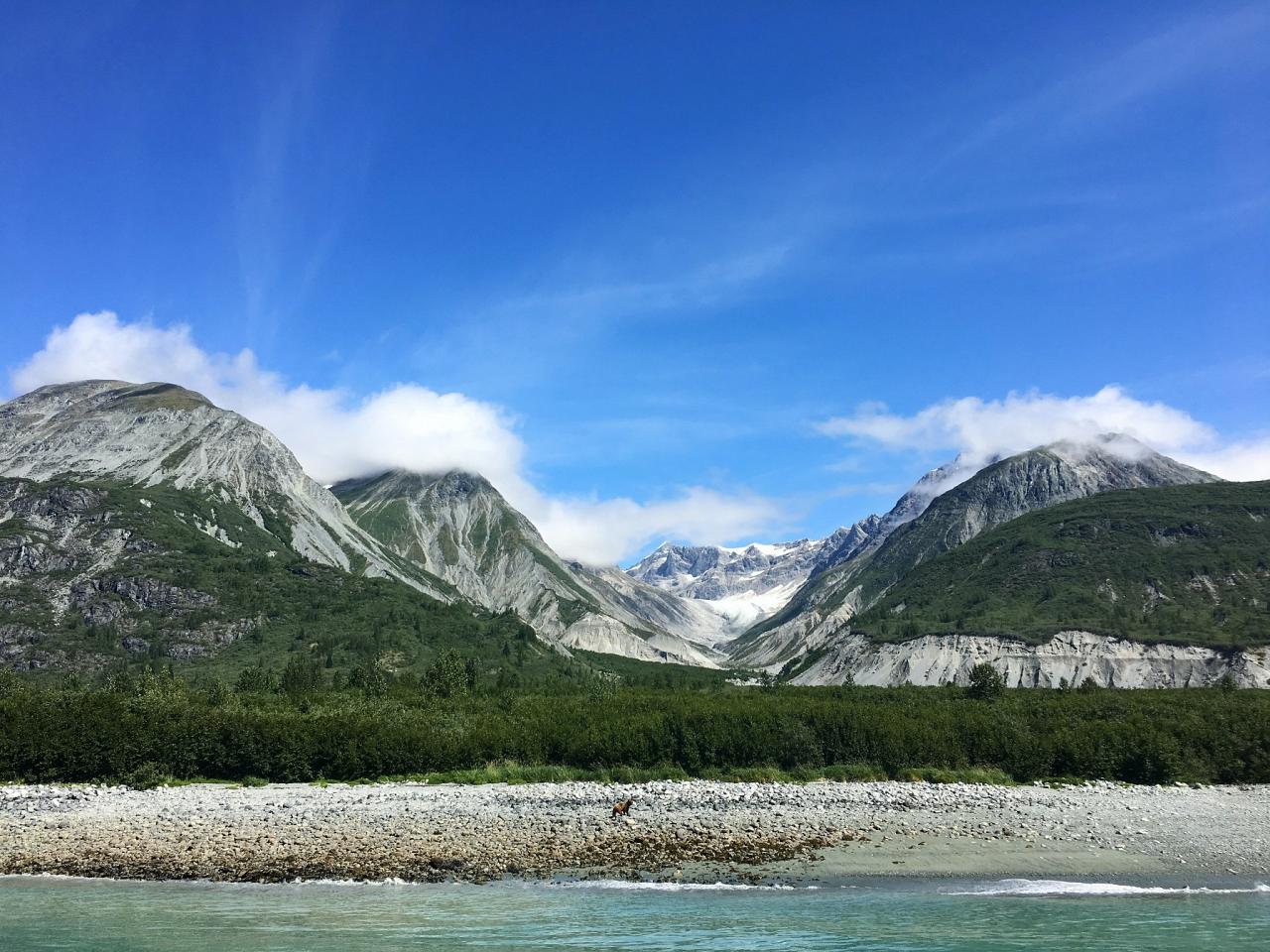 Glacier Bay NP, Alaska, Alaska Cruise, Alaska Nature Cruise, Naturalist Journeys