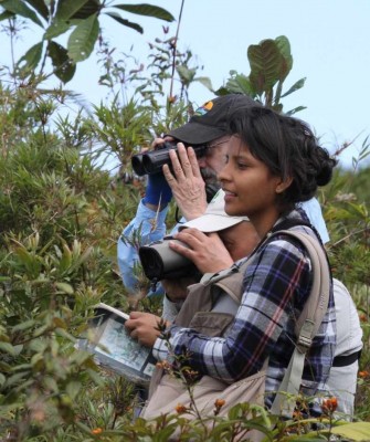 Birding, Columbia Nature Tour, Naturalist Journeys