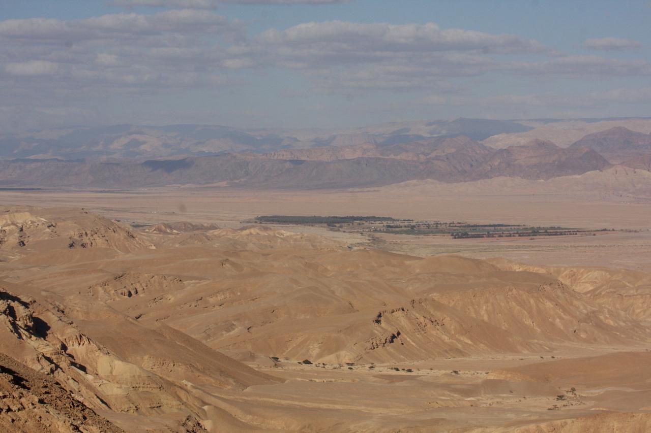Arava Valley, Israel Birding Tour, Israel Nature Tour, Israel, Naturalist Journeys, Middle East Birding