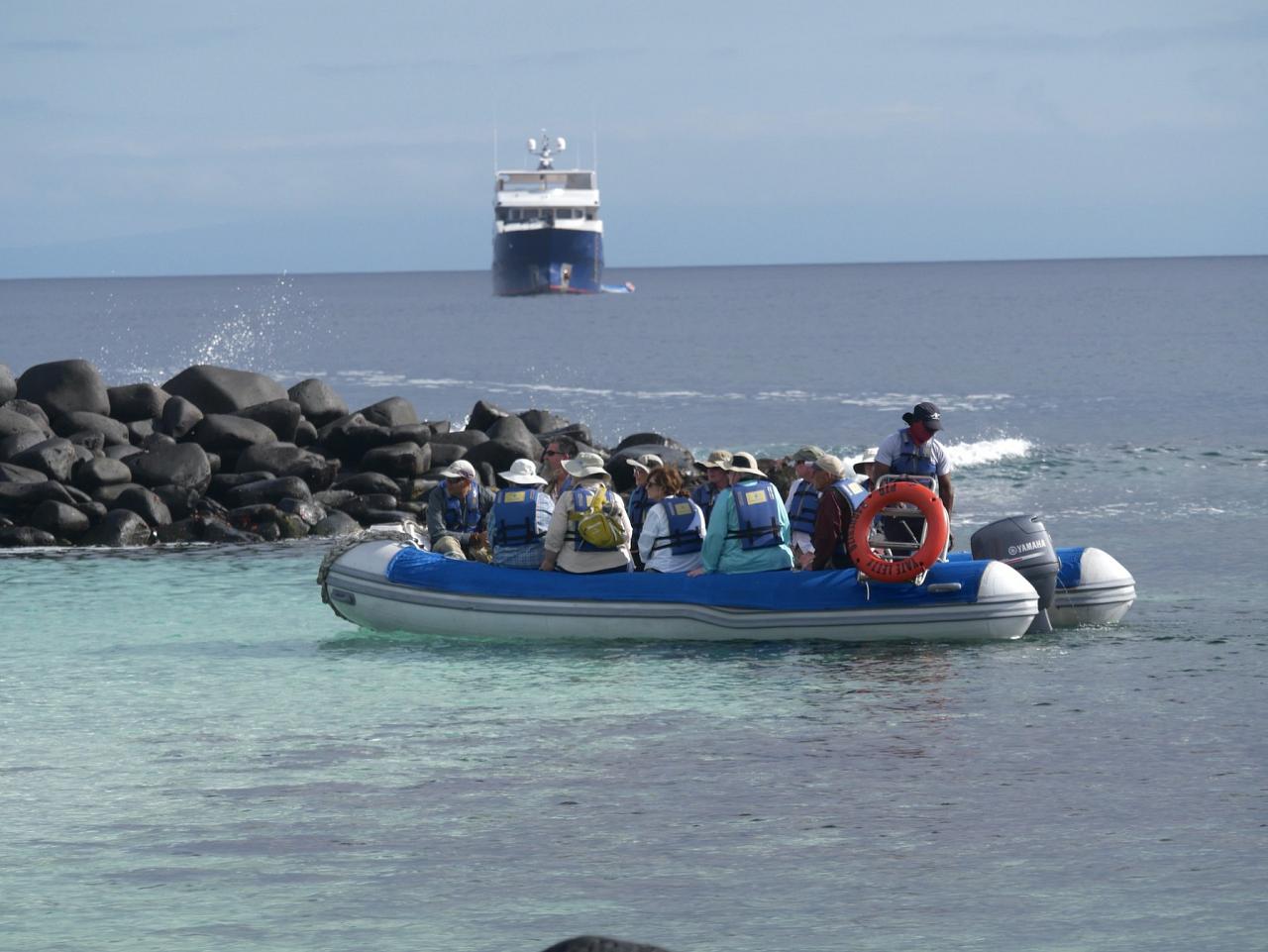 Galapagos Cruise, Galapagos, Galapagos Nature Cruise, Galapagos Wildlife Cruise, Galapagos Birding Cruise, Naturalist Journeys
