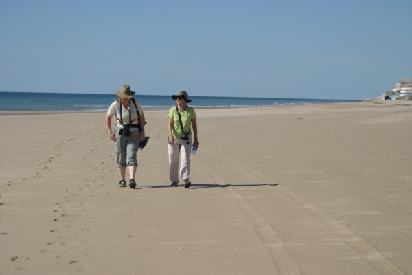 Beach walk, Mexico, Sea of Cortez, Nature Cruise, Sea of Cortez cruise, Naturalist Journeys