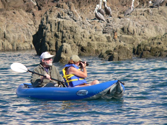 Kayaking the Sea of Cortez, Mexico, Sea of Cortez, Nature Cruise, Sea of Cortez cruise, Naturalist Journeys