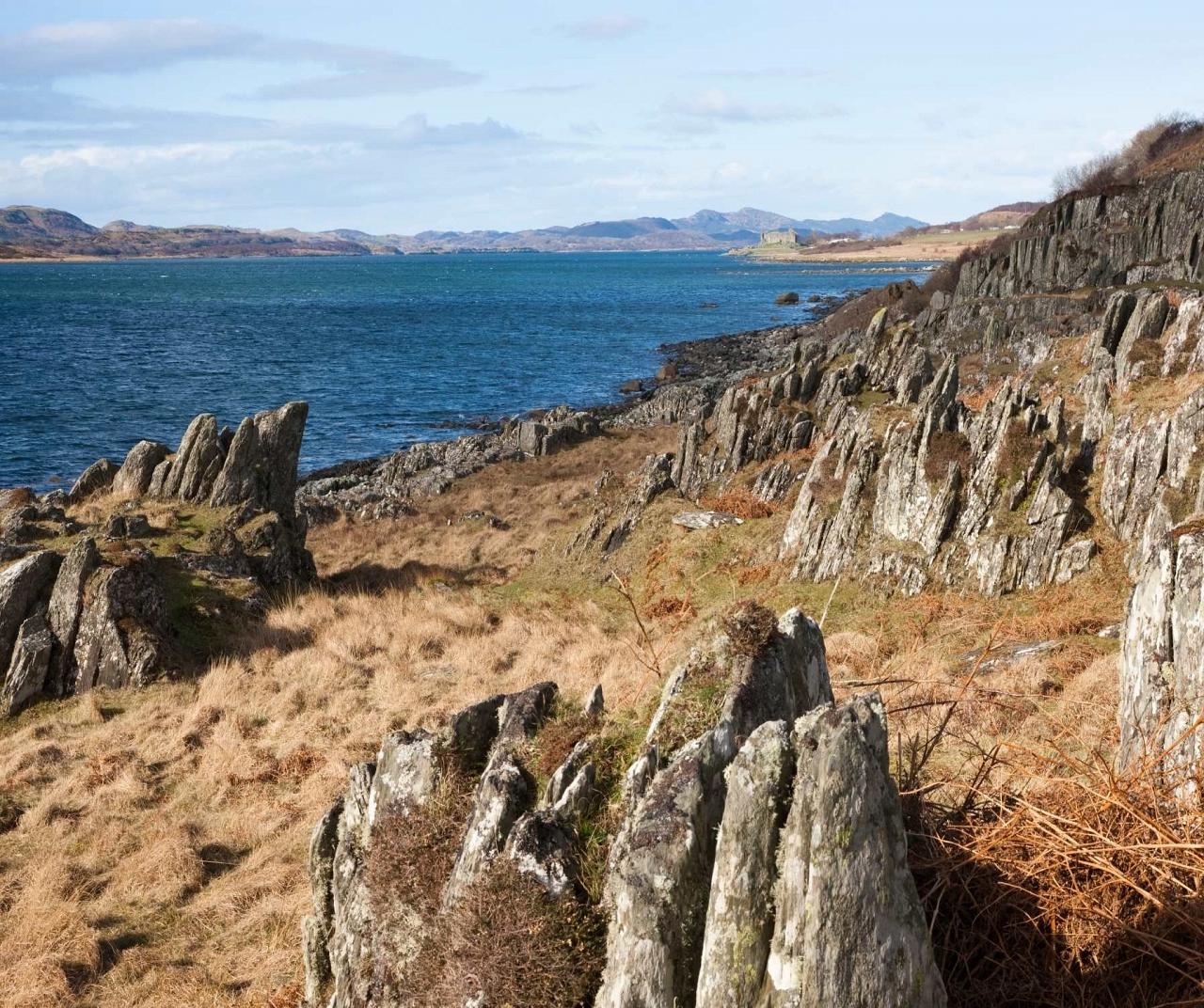 Rocky Argyll Coast, Scotland birding, Ireland, Birdwatching, United Kingdom birds, Guided Nature Tour, Naturalist Journeys