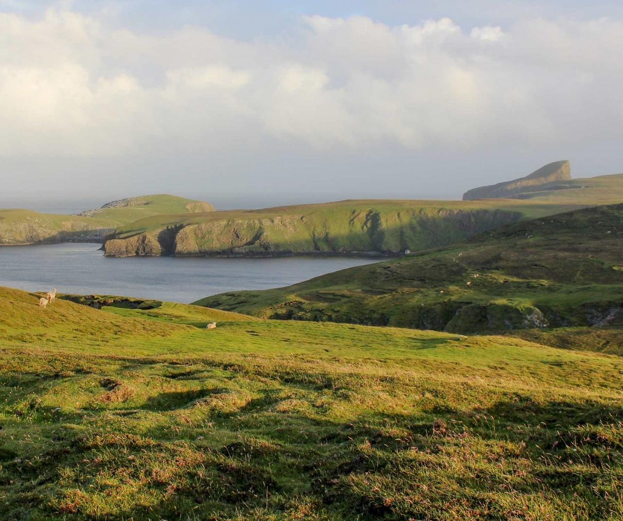 Fair Isle, Scotland birding, Ireland, Birdwatching, United Kingdom birds, Guided Nature Tour, Naturalist Journeys