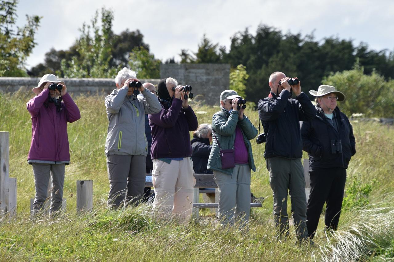 Birding Group, Scotland, Scottish Highlands, Scottish Islands, Scotland Birding Tour, Scotland Nature Tour, Naturalist Journeys