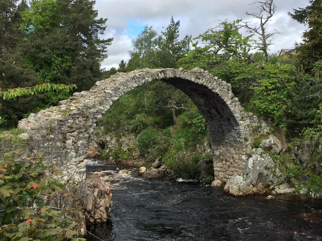 Carr Bridge, Scotland, Scottish Highlands, Scottish Islands, Scotland Birding Tour, Scotland Nature Tour, Naturalist Journeys