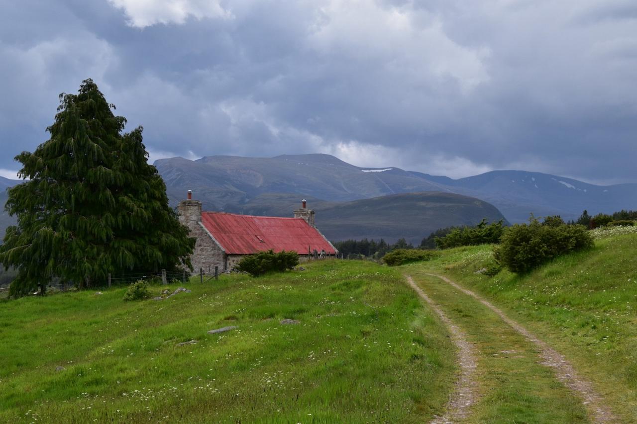 Scenic Hills, Scotland, Scotland Wildlife Tour, Scottish Highlands, Scenery, Scottish Tour, Naturalist Journeys