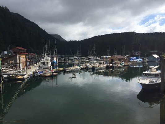 Elfin Cove, Alaska, Alaska Cruise, Naturalist Journeys 