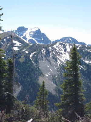 Pacific Northwest, Olympic Peninsula, Olympic National Park, Washington, Naturalist Journeys 