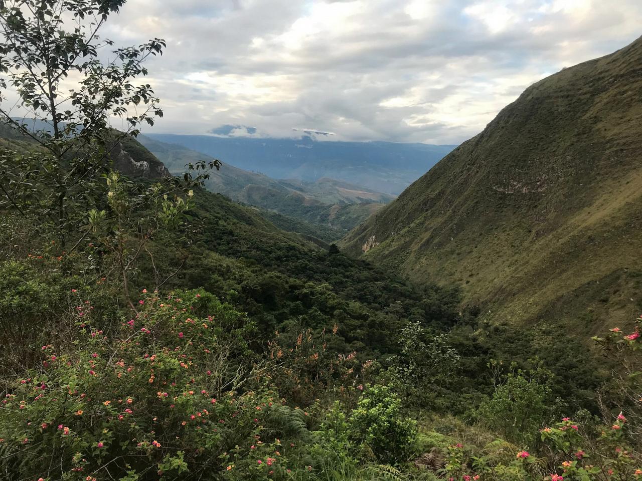 Huembo Lodge, Peru, Northern Peru, Peru Birding Tour, Peru Nature Tour, Naturalist Journeys