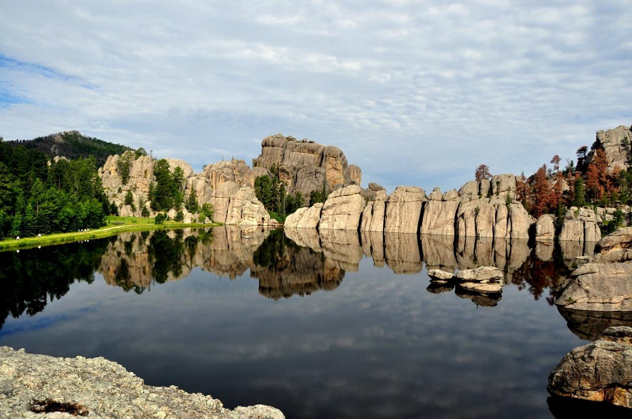 Black Hills Birding, Wildlife and Landscapes tour of South Dakota by Naturalist Journeys guided birding and nature tour of Black Hills